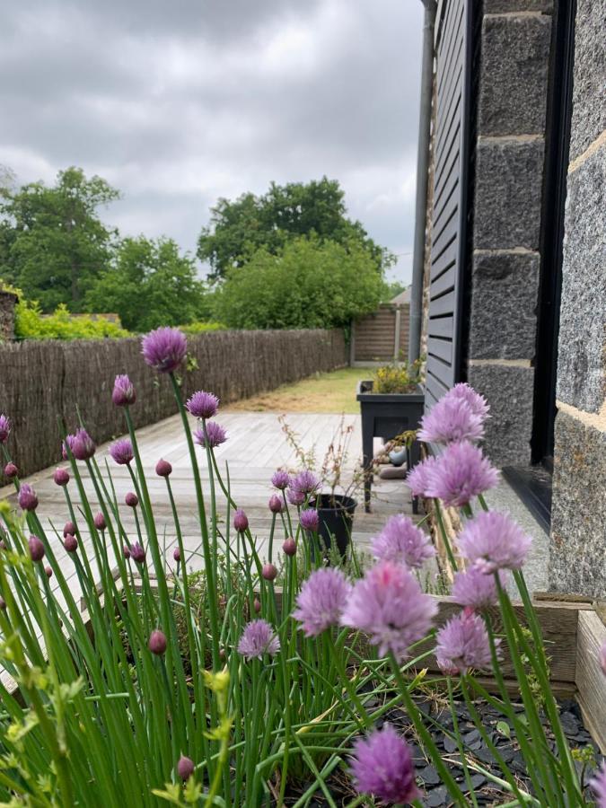 La Maison D'Aurelie Pleudihen-sur-Rance Dış mekan fotoğraf